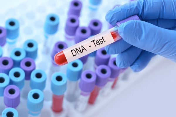 DNA क्या है ? जानिए फुल फॉर्म, संरचना और जीवन में इसका महत्व